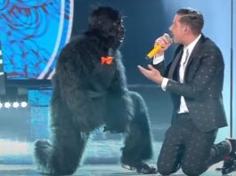 Sanremo 2025: De 30 artister er afsløret, heriblandt Francesco Gabbani – Hvem skal repræsentere Italien ved Eurovision?